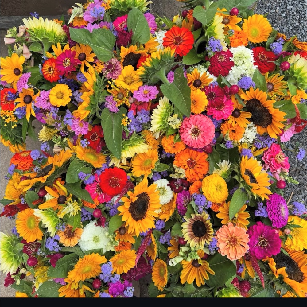 Meet your Posher, Ari